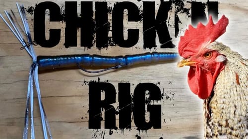 What the HECK is a Chicken Rig?!? Will it CATCH BASS?!?