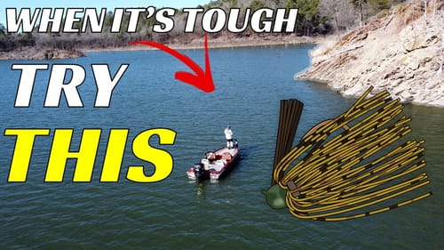 The BEST Bait For Tough Winter Fishing
