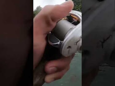 I don’t hate small mouth but man, northern largemouth sure are fun!