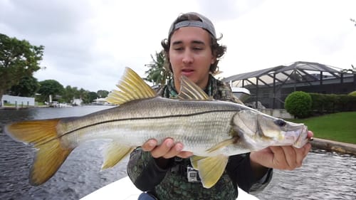 Backwater Canal Fishing