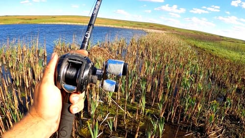FIRST TIME EVER Bank Fishing in a Fishing Tournament!!! Enough to WIN??