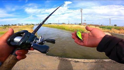 Fishing Small Dirt Canals