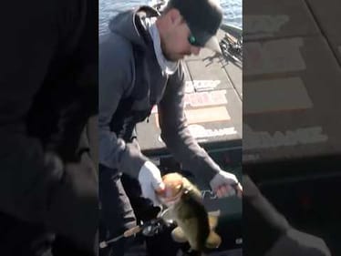 Big wake results in good bass