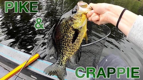 We found the Crappie! FIRST CAST!?