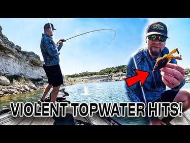VIOLENT TOPWATER BLOWUPS on NEW Soft Plastic   “BUZZGILL”!!!