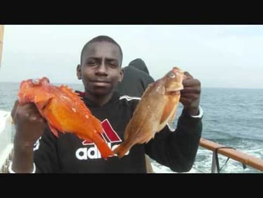 Deep Sea Fishing
