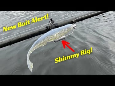 The FUTURE Of Jig Heads Is Here With The Shimmy Rig!