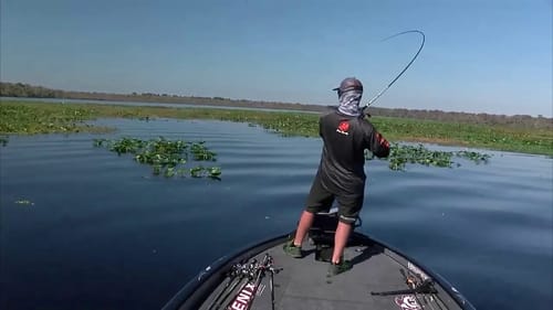 St. Johns River: Brad Whatley catches a kicker