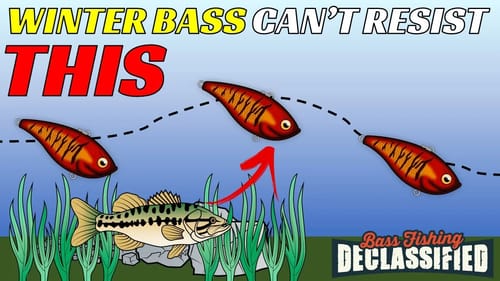 This Technique Works on EVERY LAKE for Winter Bass | Don’t Miss Out!
