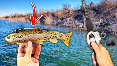 Massive Swimbaits Get SLAMMED by the Giant Fish I've Been Chasing!!