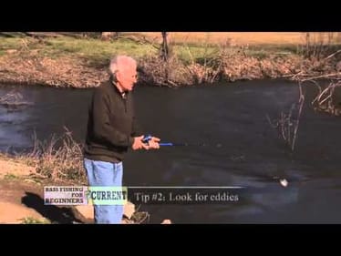Bass Fishing for Beginners: Current