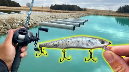 Giant Bass DESTROY Ultra-Realistic Jerkbait!!! (AMAZING)