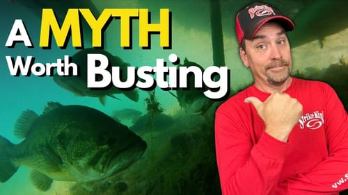 Don't Let This Bass Fishing MYTH Hold You Back