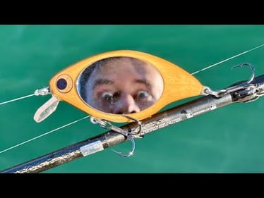 Will Fish Eat Mirrors? 