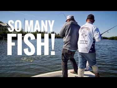 We Caught SO MANY FISH! SMCTV E19:10