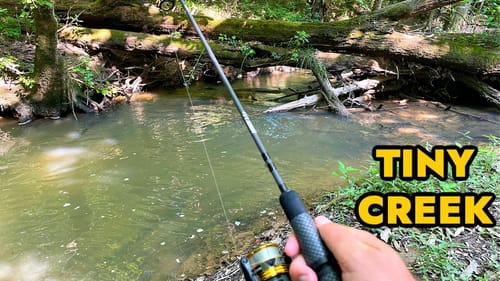 Simplified Creek Ultralight Fishing