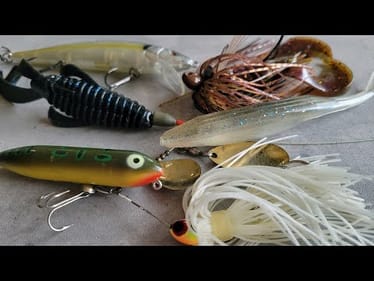 Post Spawn Bass Fishing: The Ultimate Guide | Bass Fishing