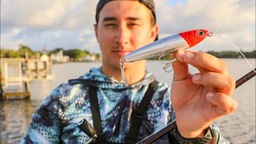 Catching BIG Fish on Topwater + Girlfriend Catches a MONSTER