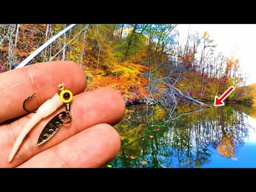If You Like To Eat Crappie This Cheap Bait Is A Crappie Catching Machine!