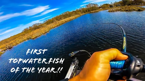 I CAUGHT My FIRST TOPWATER Fish of the YEAR During EXTREMELY Tough PRESPAWN Conditions!!!