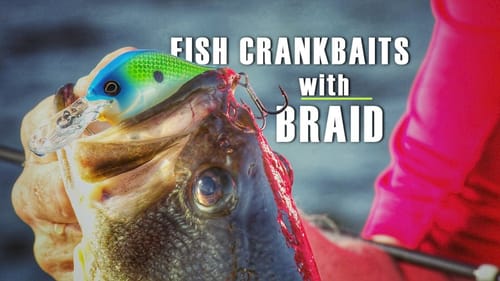 Why to Consider Braided Fishing Line for Cranking