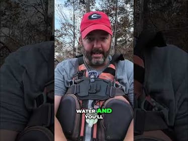 Fishing Tips: Find Bass After Fronts Move #shorts