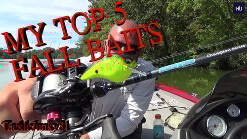 MY Top 5 Fall Baits (TackleJunky81)