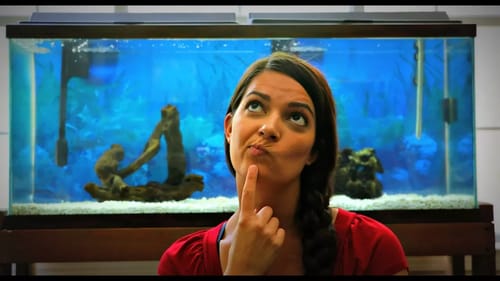 NEW FISH IN OUR AQUARIUM?