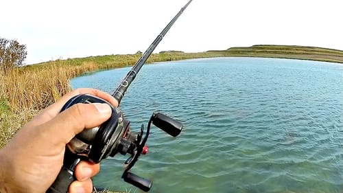 I CAN'T BELIEVE the GIANT Fish in this HIDDEN Pond!!! (Epic Bank Fishing)