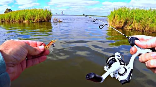 Micro Fishing for a New Pet!