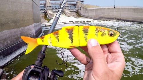 Swimbait Fishing For Spillway BEASTS!