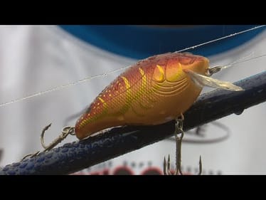 Top 5 Lures for Big Bass in February | Pro Tips! | Bass Fishing