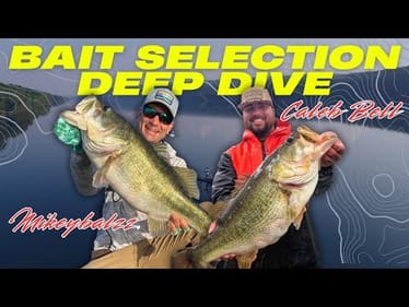 How Big Bass EXPERTS Process Their Bait Selection!