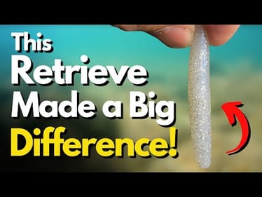 Have You Tried This With Ned Rigs? (It FOUND Bass Fast)