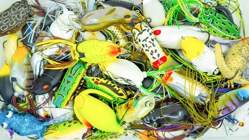 Frog Fishing - Everything You Need To Know!