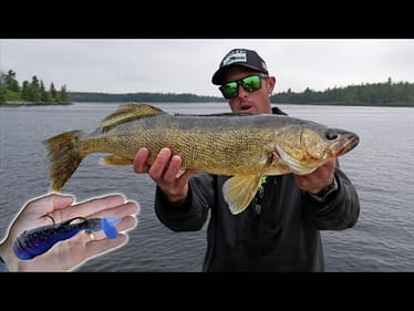 Catching Big Walleye on Crawfish Lures