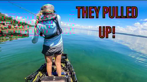 I FOUND the RIGHT bed fishing BAIT (CAYUGA Day 2)