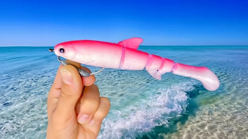 Soft Bait Fishing a Tropical Beach