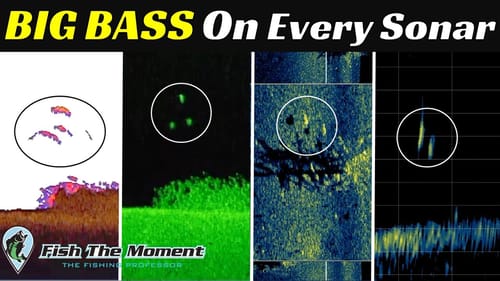 Pros DO NOT Want Me Sharing This Fish Finder Secret | Down Imaging, Side Imaging, 2D, Live Sonar