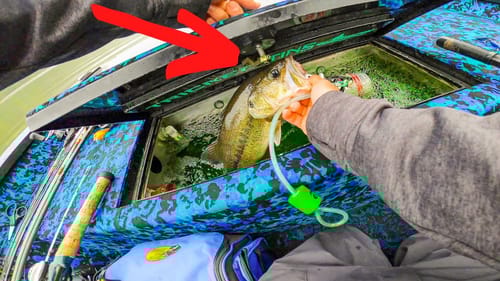 Catching Fish EXACTLY How We Want To!! Jon Boat Bass Fishing Tournament Last Second CULL WINS US $$