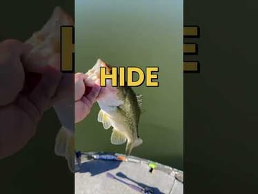 Finesse Fishing for Winter Time #fishing