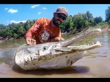 MONSTER Alligator GAR fishing in TEXAS! INSANE FIGHT!