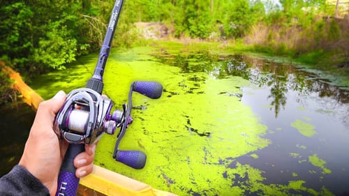 Searching for GIANT Bass in SMALL Backwater Creeks! (Kayak Fishing)