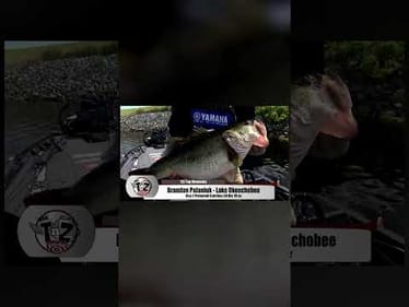 Best catches of 2025...so far