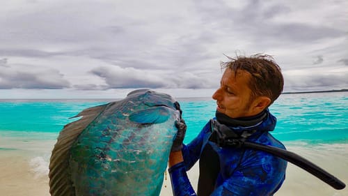 Spearfishing The Tastiest Reef Fish (Catch n Cook On Tropical Beach)