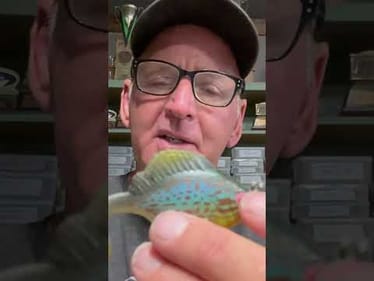 Most Underrated Bass Lure Ever