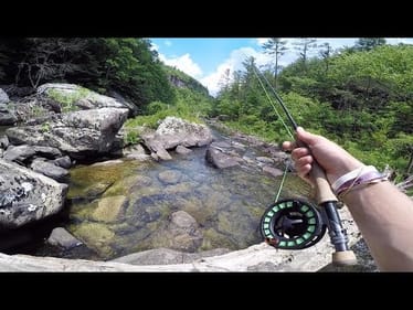 CRYSTAL CLEAR Creek Fishing in Tennessee Mountains