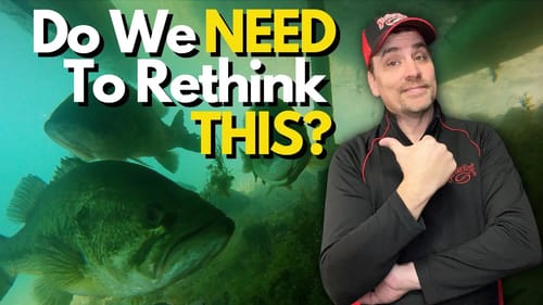 Is This The MOST Misunderstood Bass Behavior?