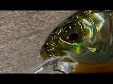 THIS Technique May Make Jerkbait Fishing Obsolete…