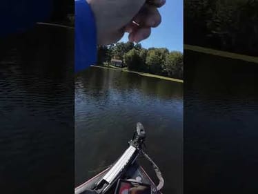 Lost an Absolute Giant Bass (I think)